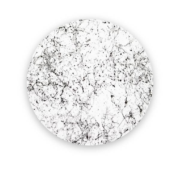 White Graffiti